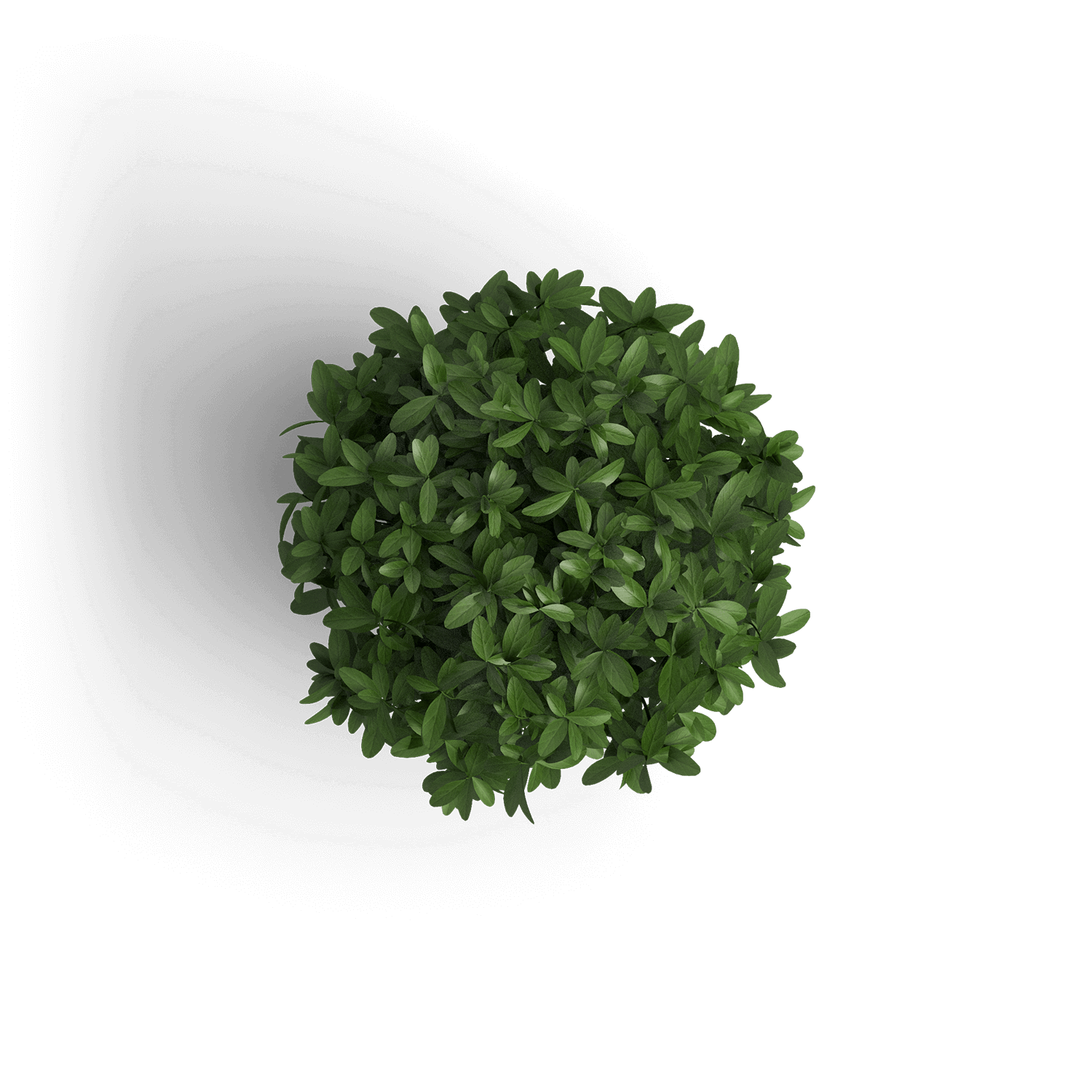 Diseño web personalizado para aumentar la visibilidad en línea